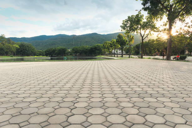 Best Driveway Paving Contractor  in Parker, FL